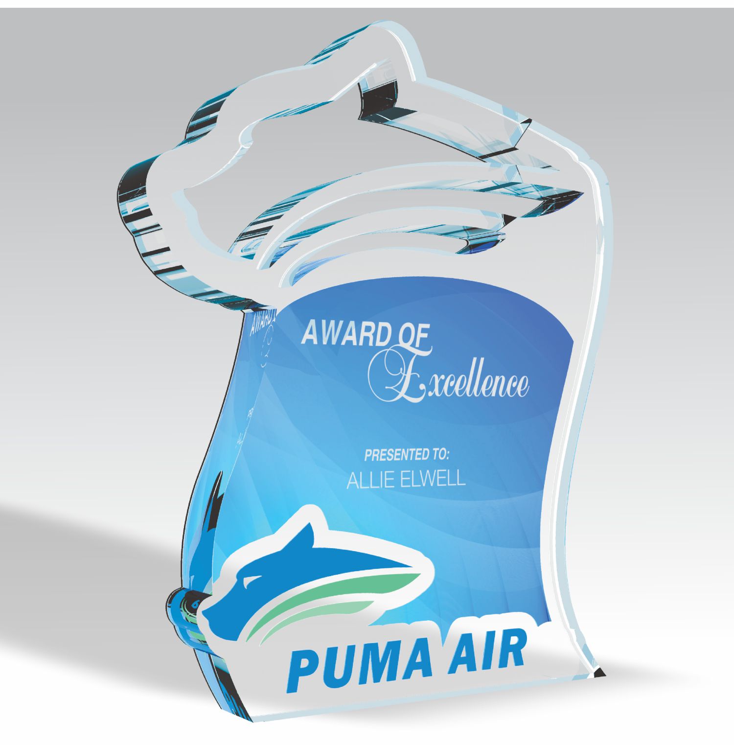 Puma Air Award of Excellence custom acrylic award
