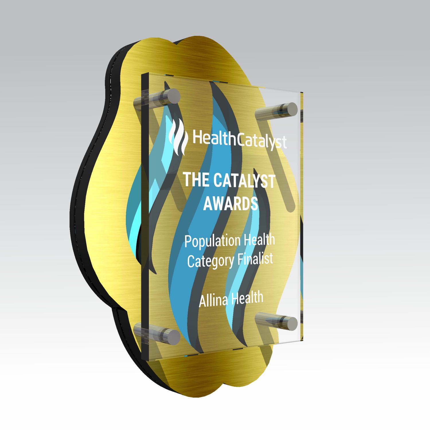 Health Catalyst Plaque custom acrylic award